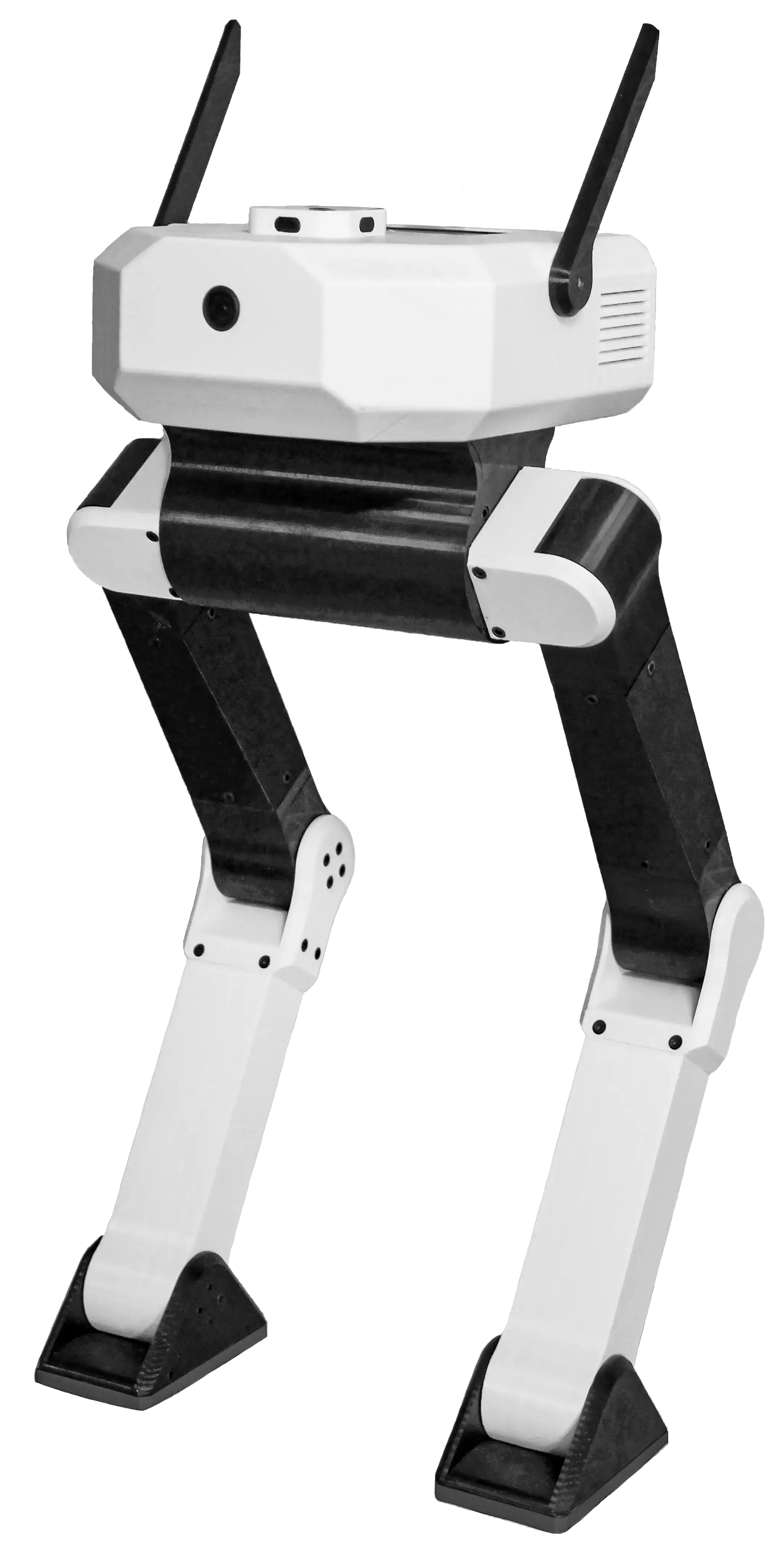 Real Bimo Image Standing